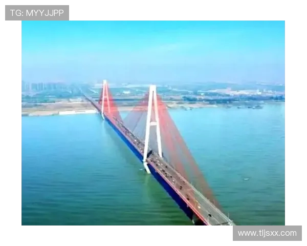 武汉三镇文化融合与经济发展新动能：从传统到现代的变革与创新