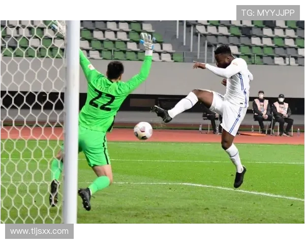 沧州雄狮奋勇拼搏展雄风再铸辉煌书写中国足球新篇章