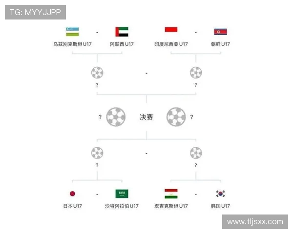 足球的魅力与挑战：从世界杯到青训体系的全景分析与未来展望