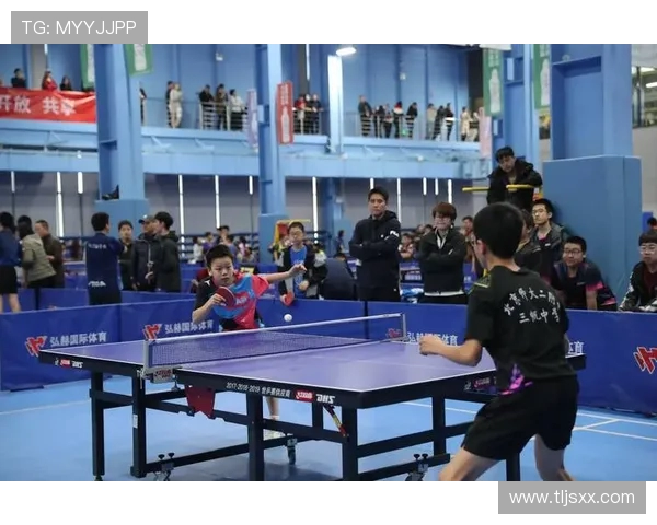 北京乒乓球队状态分析与未来展望聚焦乒乓球运动发展