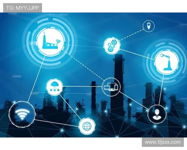 成都排球队转型之路的挑战与机遇全景观察