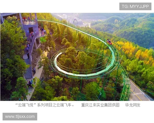 重庆极限运动队的战术创新与转换体系研究探讨